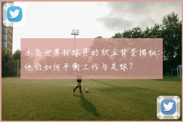 冰岛世界杯球员的职业背景揭秘：他们如何平衡工作与足球？